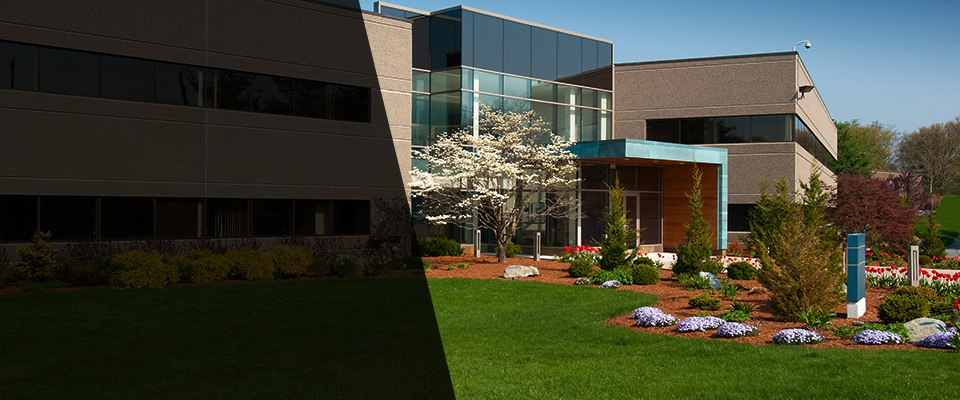 Tallahassee Landscapers