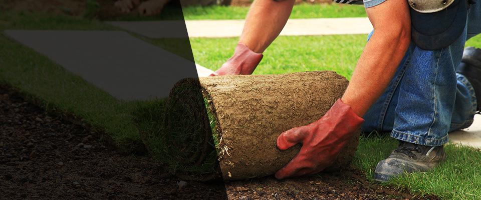 Tallahassee Landscapers